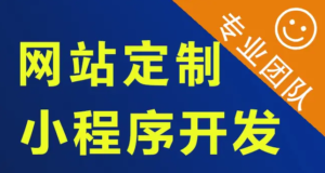 应用软件开发|程序开发|软件开发 小程序开发 网站建设推广-邵阳蓝兔科技有限公司