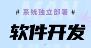 网站建设与网站设计公司·程序开发|网站维护，网站定制，网站设计/开发-邵阳蓝兔科技有限公司