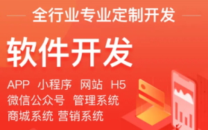 APP软件定制开发、微信小程序开发、网站建设公众号开发-邵阳蓝兔科技有限公司